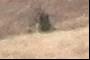 Alien Spacecraft