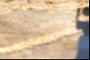 Shadow of the Gigapan rig