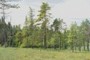 Discover Loermoos -
