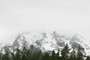 Mt. Moran