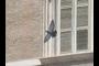 A bird in flight