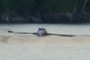 Rowing