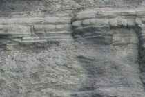 155169-210x140