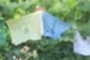 prayer flags