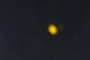 The moon