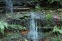 Falls