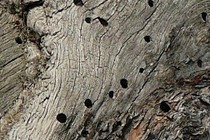 155878-210x140