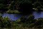 Moss lake