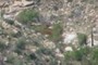 Tenajas along Sabino Creek