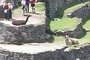 Llamas