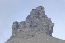 156331-210x140