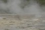 Mastiff Geyser