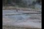 Beehive Geyser
