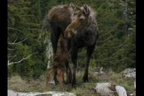 17298-210x140