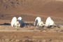 ALMA antennas