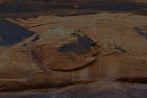 161563-210x140