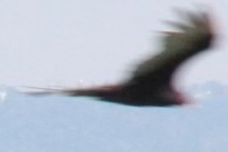 157624-210x140