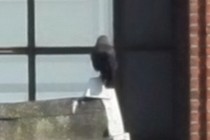 158395-210x140