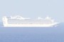 Insanely large cruise ship