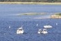 Horsehoe Cove