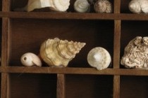 158436-210x140
