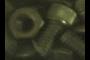 Nut and hex head screw