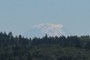 Mt Rainier