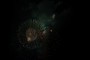 Fireworks #5