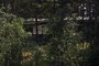 Green cottage