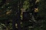 Outhouse