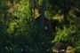 Outhouse