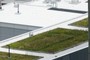 rooftop garden