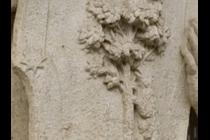 17520-210x140