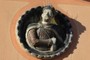 Terracotta medallions  couple... and the other half