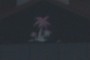 Palm