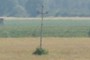 Electricity pylon