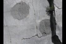17687-210x140