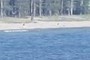 People on beach