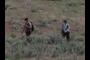 Geology Field Camp Students