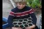 Spencer with sunflower pots