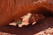 161739-210x140