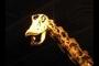 Diplodocus closeup