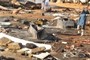 Utter destruction