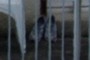 Chaussures