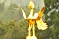 172362-210x140