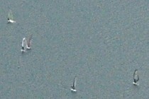 172330-210x140