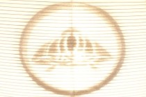 164187-210x140