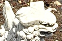 172307-210x140