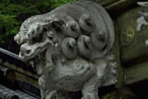 172431-210x140