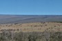 Lava Flow